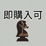 スティンガー　即購入OKの画像