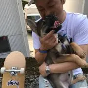 ヨシ