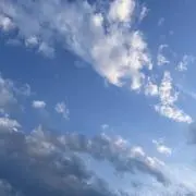 ちょんの画像