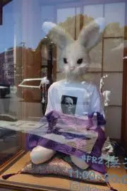 Image of KaTTaN