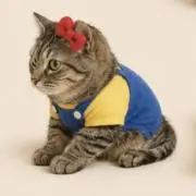 くまくま