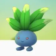 ちゃんすの画像