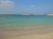 とうふ