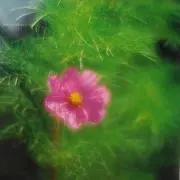 まーはる