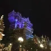 ドンフィーの画像