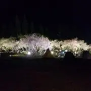 三太の画像