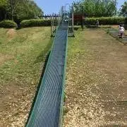 キキの画像