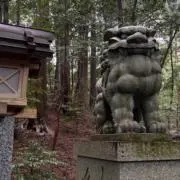 ゆうきの画像