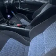 いの画像