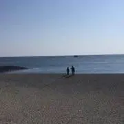 corosukeの画像
