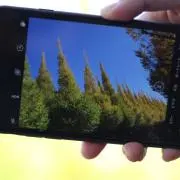 生首ポンポンの画像