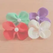 Misangaの画像
