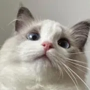 ＾＾⭐︎