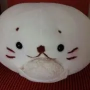 にのっちの画像