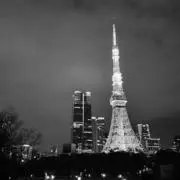 Seikaの画像