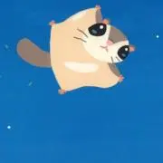 kiの画像