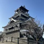 碇シンジ