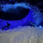 キラリンチョの画像