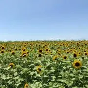 ゆうくんママ