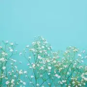 しのみ