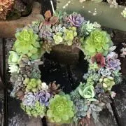 みどりの画像