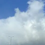 saaの画像