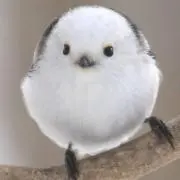 hiroの画像