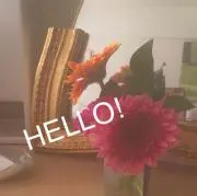 あかねの画像