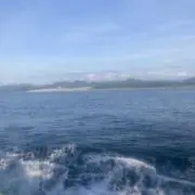 美希瑠の画像