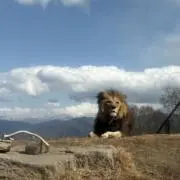 O-takeの画像