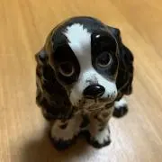 Non Mamaの画像