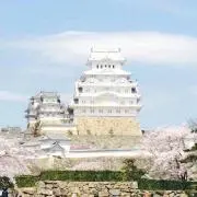 ソフトサンティアの画像
