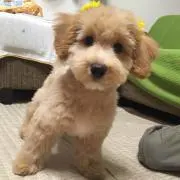 ☆んぶつな♪モカ♡プロフ必読！