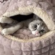 M   お値下げ⭕️