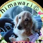 himawari☆Ⓖの画像