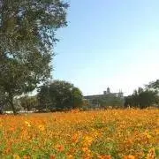 るーしーの画像