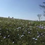来羽☽⋆゜の画像
