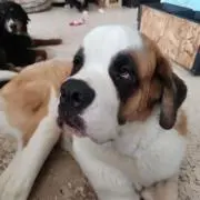 優一