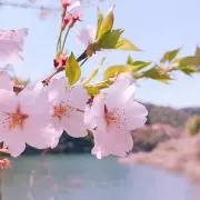 emi