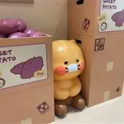あーの画像