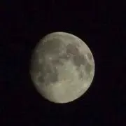 あほ