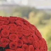 あさの画像