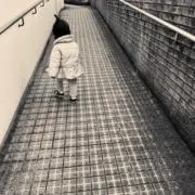 Teriの画像