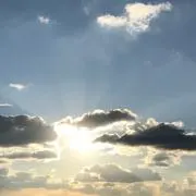 SUNの画像