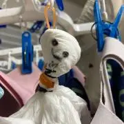 andooooouの画像