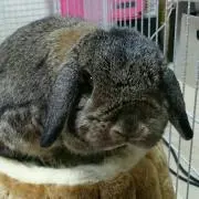 潤之介