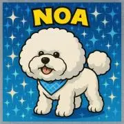 Noaの画像