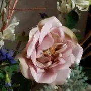 ララ