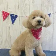 いわお