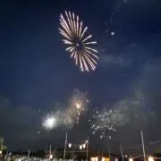 ぽぽの画像
